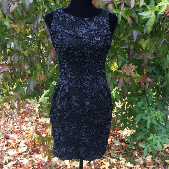 Carmen Marc Valvo Dresses | Luxe By Carmen Marc Valvo Black Lace Dress | Color: Black | Size: 4 | Lavenderbear's Closet Carmen Marc Valvo Dresses | Luxe By Carmen Marc Valvo Black Lace Dress | Color: Black | Size: 4 | Lavenderbear's Closet